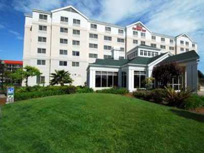 Courtyard San Francisco Airport 3* Burlingame